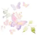 BUTTERFLIES