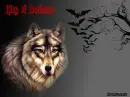 King Of Darkness