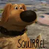 squirrel