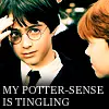 potter sense