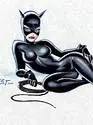 cat woman in gray black , cartoons type