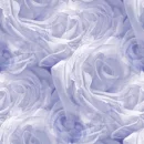 rosas nebulosas