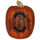 OHIO STATE PUMPKIN
