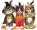 CATS