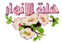 islamic