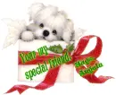 You're my special friend- Hugs,Angela