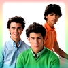 the jonas brothers