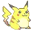 pokemon pet