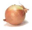 onion