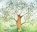 changing seasons avatar