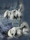 three unicorns in the rain