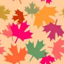 autumn leaves wallpaper