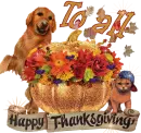 To all Happy Thanksgivining