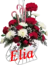 Christmas Flower Sleigh - Elia