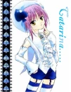 Catarina