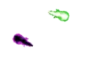 Lifestream