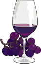 wine and grapes