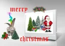 Merry
