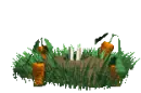 rabbit hole