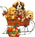 DOGS