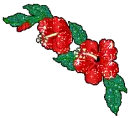 mistletoe