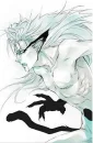 Grimmjow Ressurccion