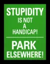 Stupidity