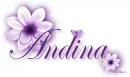 Purple Flower - Andine