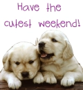 have the cutest weekend!