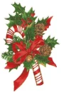 CANDY CANE