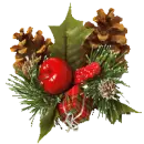 HOLLY