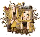 Tracy