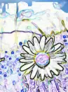 drawing a daisy