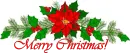 HOLLY N BERRIES