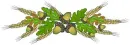LEAVES N ACORNS