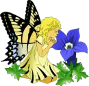 FAIRY