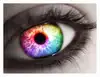 Rainbow eye