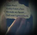 Dear diary...