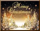 Merry Christmas!