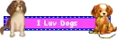dogs
