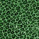 Leopard Print Background
