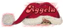 Aggela
