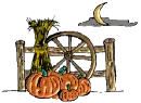 harvest scene