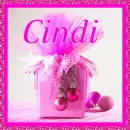 Pink Christmas Package - Cindi