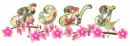 A bunch of pink flower...RONI