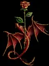 dragon and rose