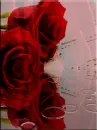 music rose rain