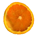 orange segments