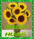 Daisy Hugs