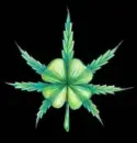 Pot Leaf Clover